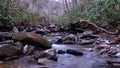 Small River with Moss Covered Stones in the Deep Woods of the Great Smokey Mountains National Park. Royalty Free Stock Photo