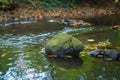 A small river near the village Hude Royalty Free Stock Photo