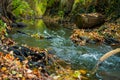 A small river near the village Hude Royalty Free Stock Photo