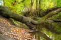 A small river near the village Hude Royalty Free Stock Photo