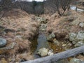 Small river in Praglia along a forest pathway Royalty Free Stock Photo