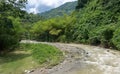 Small river in quindio, colombia. Royalty Free Stock Photo