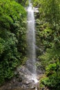 Small river in quindio, colombia. Royalty Free Stock Photo