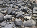 small river rocks at low tide in the village 4 Royalty Free Stock Photo