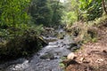 Small river running through the cloud forest outside of Bajos Del Toro, Costa Rica Royalty Free Stock Photo