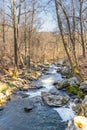 A small river running through the forest on a cool later winter day