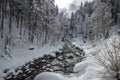 Winter scene at a river