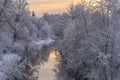 Small river running through the white snowy forest in sunset Royalty Free Stock Photo