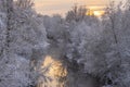 Small river running through the white snowy forest in sunset Royalty Free Stock Photo