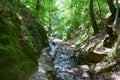 Small river in Ruppterklamm with little water in summer Royalty Free Stock Photo