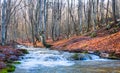 Small river rushing through mountain canyon Royalty Free Stock Photo