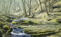 Small river rushing through mountain canyon Royalty Free Stock Photo