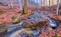 River rushing over autumn mountain canyon covered a dry leaves Royalty Free Stock Photo