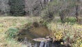 A small river with a sandy bottom and clear water flows through the meadow between grassy banks. Alder and bushes grow along the b Royalty Free Stock Photo