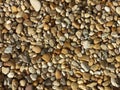 Small river sea stones. summer background. colorful pebble stone matrerial Royalty Free Stock Photo