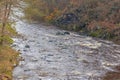 Shalow River Stream