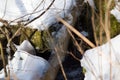 Small river in the snowy forest