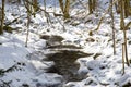 Small river in the snowy forest