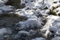 Small river in the snowy forest