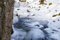 Small river in the snowy forest