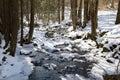 Small river in the snowy forest