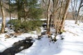 Small river in the snowy forest