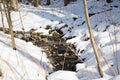 Small river in the snowy forest