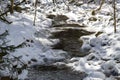 Small river in the snowy forest