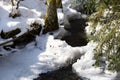 Small river in the snowy forest