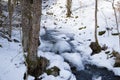 Small river in the snowy forest