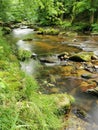 small river in spring czech forest Royalty Free Stock Photo