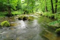 small river in spring czech forest Royalty Free Stock Photo