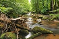 small river in spring czech forest Royalty Free Stock Photo