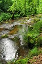 small river in spring czech forest Royalty Free Stock Photo
