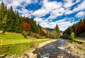 Small river in spruce forested mountains Royalty Free Stock Photo