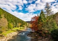 Small river in spruce forested mountains Royalty Free Stock Photo