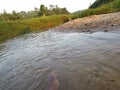 Small river in srilanka