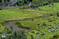 Small river in summer season in a morning, Caucasus mountain range