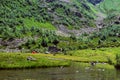 Small river in summer season in a morning, Caucasus mountain range