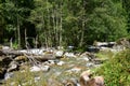 Small river in summer season in a morning, Caucasus mountain range