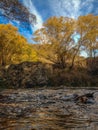 Small river on a sunny autumn day near Queenstown, New Zealand