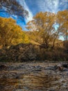 Small river on a sunny autumn day near Queenstown, New Zealand Royalty Free Stock Photo