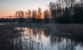 A small river in sunrise, tree reflections in the water, dry reeds, light before sunrise Royalty Free Stock Photo