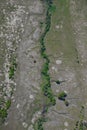 Small river surrounded by green trees, top view, aerial photo. Royalty Free Stock Photo