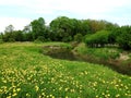 River Sysa and beautiful spring field, Lithuania Royalty Free Stock Photo