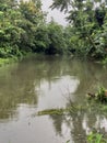 A small river in a village in India.