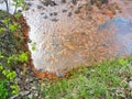 Small river water polluted by rust and solid waste. Sewage in nature. Ecological catastrophe. Royalty Free Stock Photo