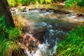 A small river in a wild forest, a beautiful summer landscape, bright sunlight through the trees reflected in the water Royalty Free Stock Photo
