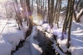 Small river in the winter forest Royalty Free Stock Photo