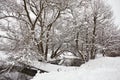 Small river in winter. Rural January scene, bridge over creek. Trees on riverbank covered with snow